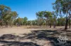 1043 Wallangra Road, Wallangra, NSW 2360-Image
