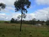 105 Coppabella Road, Rosewood NSW 2652-Image