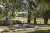 105 Whitebridge Road, Cobaw, Vic 3442-Image