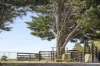 105 Whitebridge Road, Cobaw, Vic 3442-Image