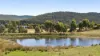 105 Whitebridge Road, Cobaw, Vic 3442-Image