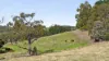 105 Whitebridge Road, Cobaw, Vic 3442-Image