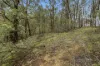 1053 Boggy Creek Road, Myrrhee, Vic 3732-Image