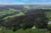 1053 Boggy Creek Road, Myrrhee, Vic 3732-Image