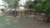 10584 Flinders Highway, Dotswood QLD 4820-Image