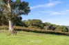 106 Gunyulgup Valley Drive, Yallingup, WA 6282-Image