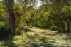 106 Gunyulgup Valley Drive, Yallingup, WA 6282-Image