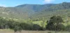 1060 Dry Creek Road, Scone NSW 2337-Image