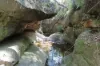 1060 Dry Creek Road, Scone NSW 2337-Image