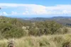 1060 Dry Creek Road, Scone NSW 2337-Image