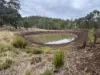 1060 Dry Creek Road, Scone NSW 2337-Image