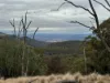 1060 Dry Creek Road, Scone NSW 2337-Image