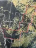 1060 Dry Creek Road, Scone NSW 2337-Image