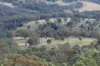 1060 Dry Creek Road, Scone NSW 2337-Image