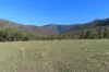 1060 Dry Creek Road, Scone NSW 2337-Image