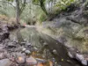 1060 Dry Creek Road, Scone NSW 2337-Image