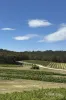 107 Mcadams Lane, Moonambel, Vic 3478-Image