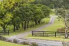 108 Vinicombes Road, Tallong, NSW 2579-Image