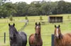 108 Vinicombes Road, Tallong, NSW 2579-Image