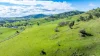 1080 Lake Road, Bethanga, Vic 3691-Image