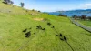 1080 Lake Road, Bethanga, Vic 3691-Image