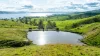 1080 Lake Road, Bethanga, Vic 3691-Image