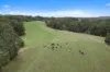 1080 Main Neerim Road, Rokeby, Vic 3821-Image
