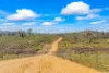 1092 Gowan Road, Lower Lewis Ponds, NSW 2800-Image