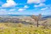1092 Gowan Road, Lower Lewis Ponds, NSW 2800-Image