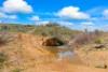 1092 Gowan Road, Lower Lewis Ponds, NSW 2800-Image