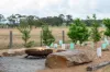 1095 Joadja Road, Joadja, NSW 2575-Image