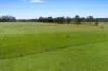 1095 Joadja Road, Joadja, NSW 2575-Image