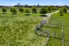 1095 Joadja Road, Joadja, NSW 2575-Image