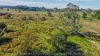 10A Sandy Point Road, Monaltrie, NSW 2480-Image