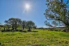 10A Sandy Point Road, Monaltrie, NSW 2480-Image