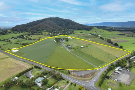 11, Coolangatta NSW 2535-Image