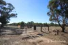 11 Doyle Road, Arthur River, WA 6315