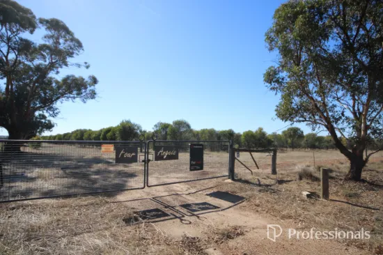 11 Doyle Road, Arthur River, WA 6315