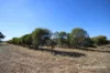 11 Doyle Road, Arthur River, WA 6315-Image