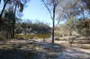 11 Doyle Road, Arthur River, WA 6315-Image