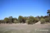 11 Doyle Road, Arthur River, WA 6315-Image