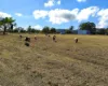 11 Pats Road, Plainland, Qld 4341-Image