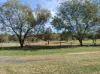 11 Pats Road, Plainland, Qld 4341-Image