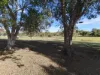 11 Pats Road, Plainland, Qld 4341-Image