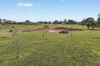 110 Acacia Drive, Rylstone, NSW 2849-Image