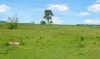 110 Baraimal Lane, Cedar Point NSW 2474-Image