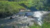 110 Blacks Road, Dalrymple Heights QLD 4757-Image
