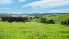 110 Blacks Road, Dalrymple Heights QLD 4757-Image