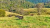110 Blacks Road, Dalrymple Heights QLD 4757-Image
