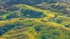 110 Blacks Road, Dalrymple Heights QLD 4757-Image